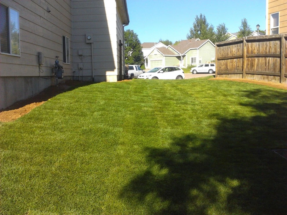 Beautiful Sod by Wright Tree, Lawn & Landscape Care - Photo 8