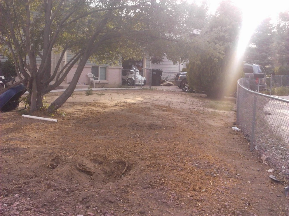 Beautiful Sod by Wright Tree, Lawn & Landscape Care - Photo 5