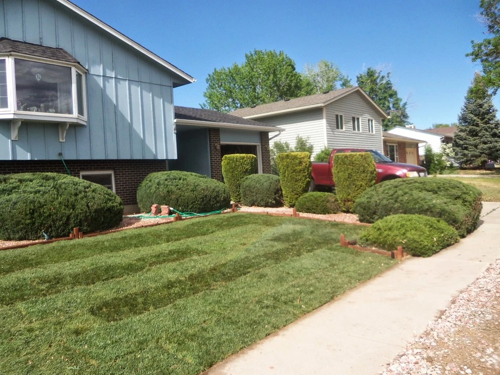 Beautiful Sod by Wright Tree, Lawn & Landscape Care - Photo 10
