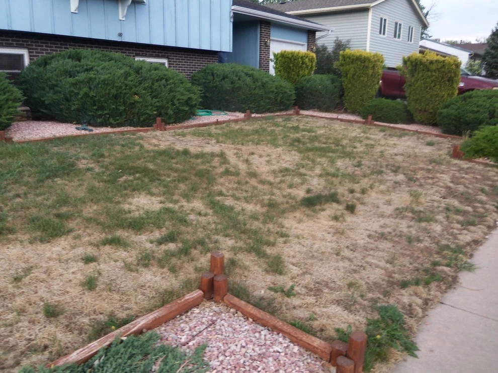 Beautiful Sod by Wright Tree, Lawn & Landscape Care - Photo 9