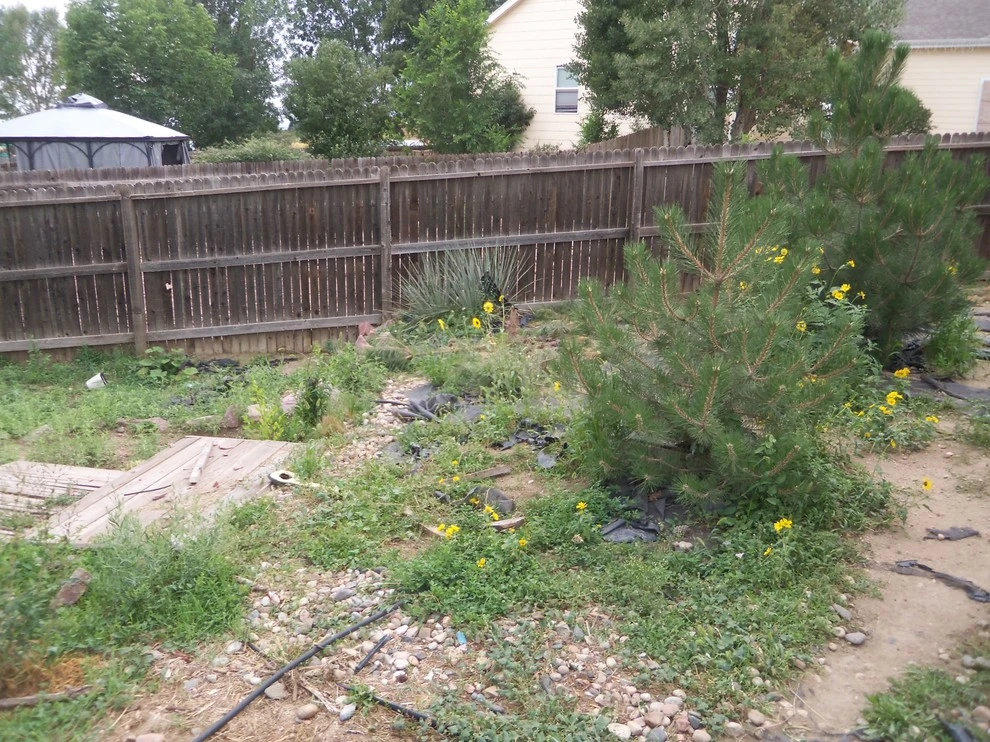 Beautiful Sod by Wright Tree, Lawn & Landscape Care - Photo 4