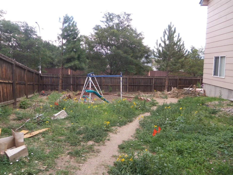 Beautiful Sod by Wright Tree, Lawn & Landscape Care - Photo 11