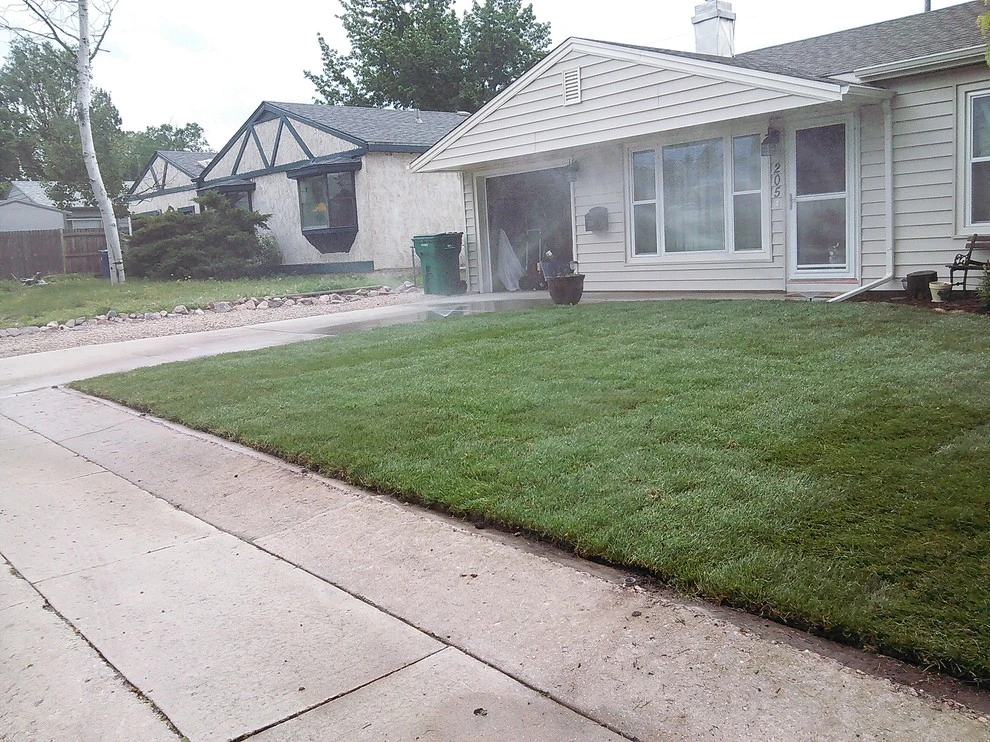 Beautiful Sod by Wright Tree, Lawn & Landscape Care - Photo 6