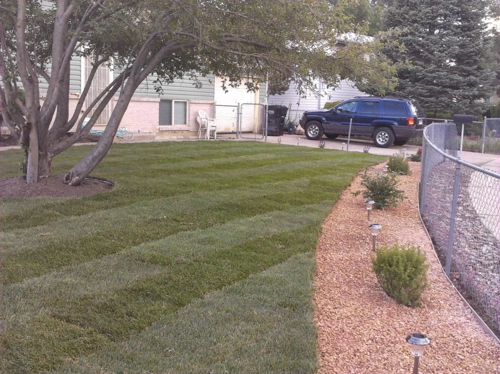 Beautiful Sod by Wright Tree, Lawn & Landscape Care - Photo 3