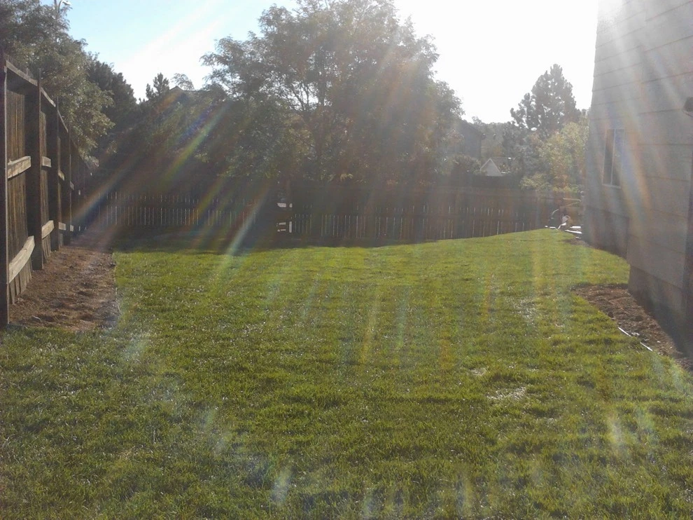 Beautiful Sod by Wright Tree, Lawn & Landscape Care - Photo 12