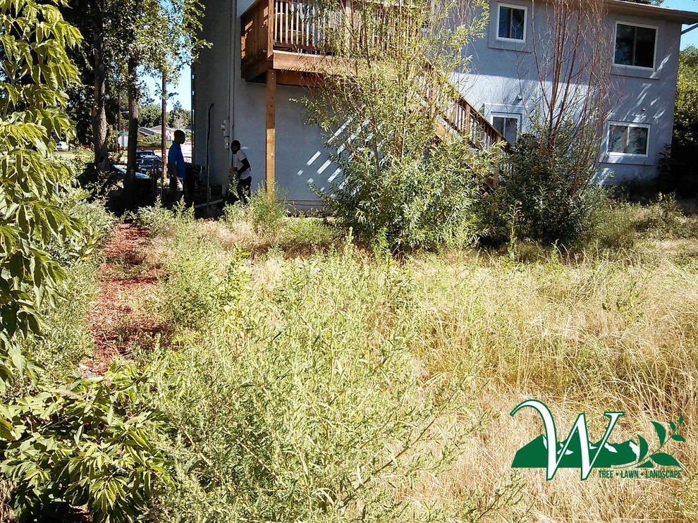 Property Cleanup and Weeds by Wright Tree, Lawn & Landscape Care - Photo 7