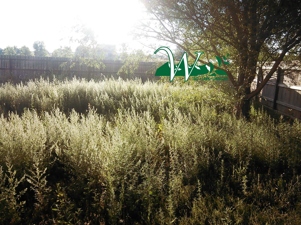 Property Cleanup and Weeds by Wright Tree, Lawn & Landscape Care - Photo 5