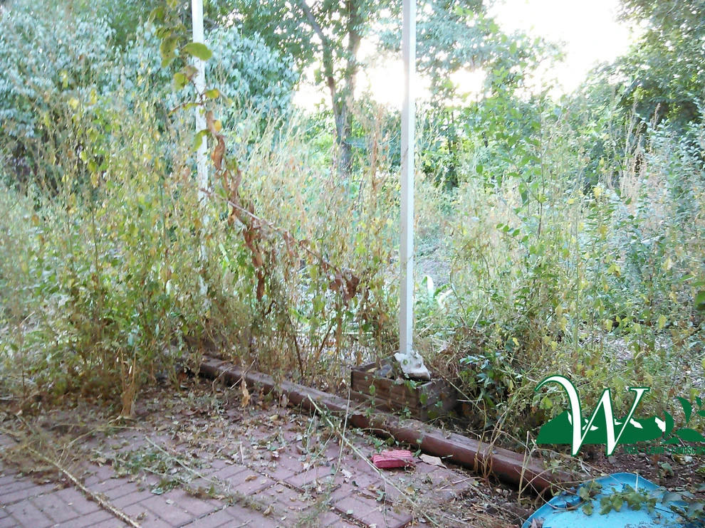 Property Cleanup and Weeds by Wright Tree, Lawn & Landscape Care - Photo 3