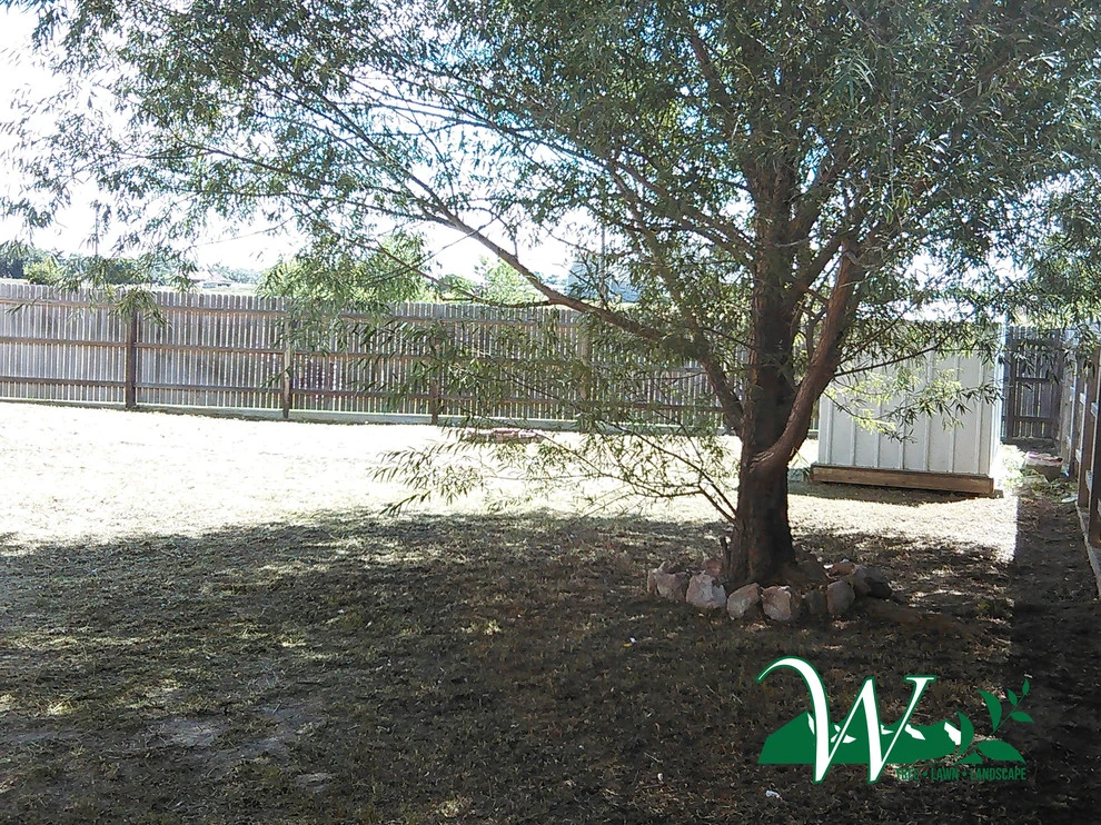 Wright Tree, Lawn & Landscape Care - Photo 10