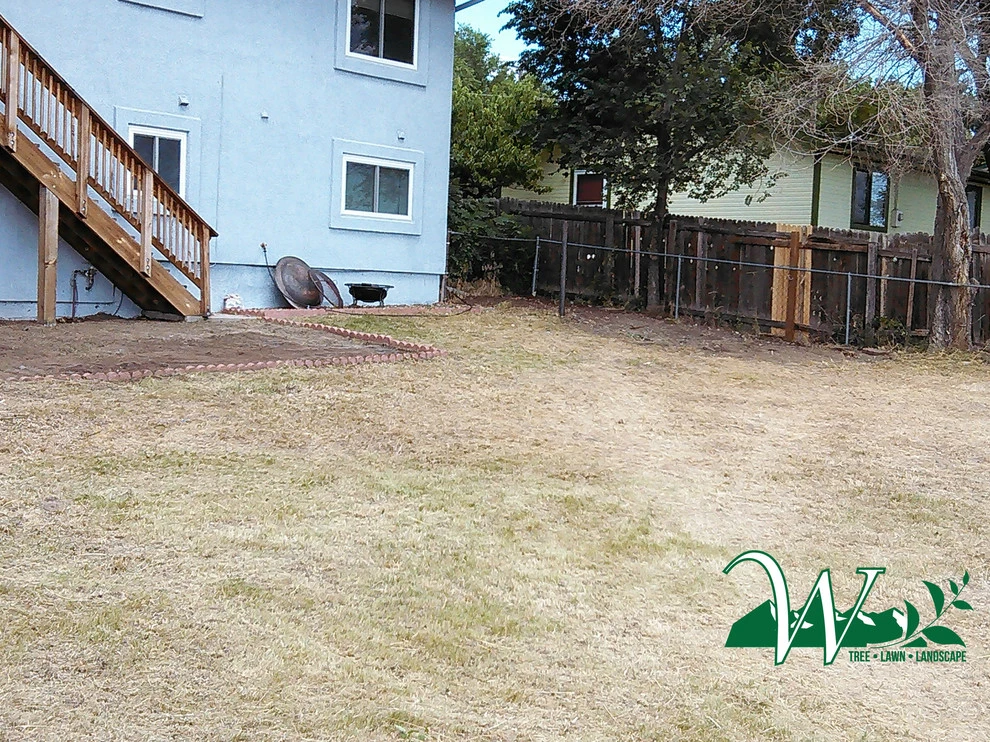 Property Cleanup and Weeds by Wright Tree, Lawn & Landscape Care - Photo 4