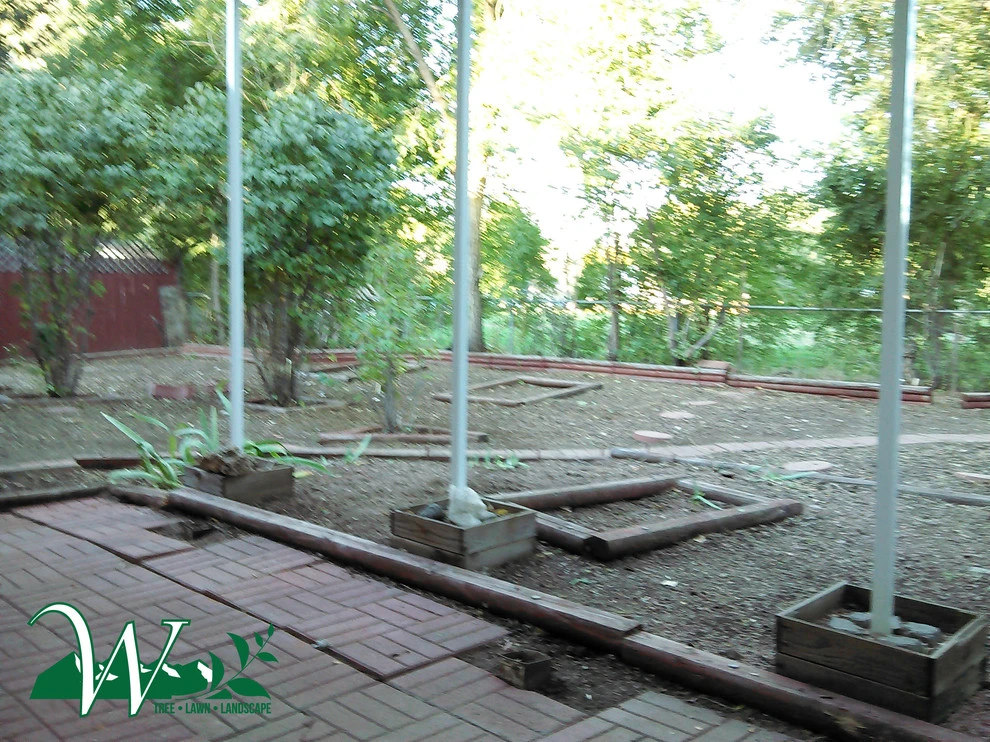 Property Cleanup and Weeds by Wright Tree, Lawn & Landscape Care - Photo 8