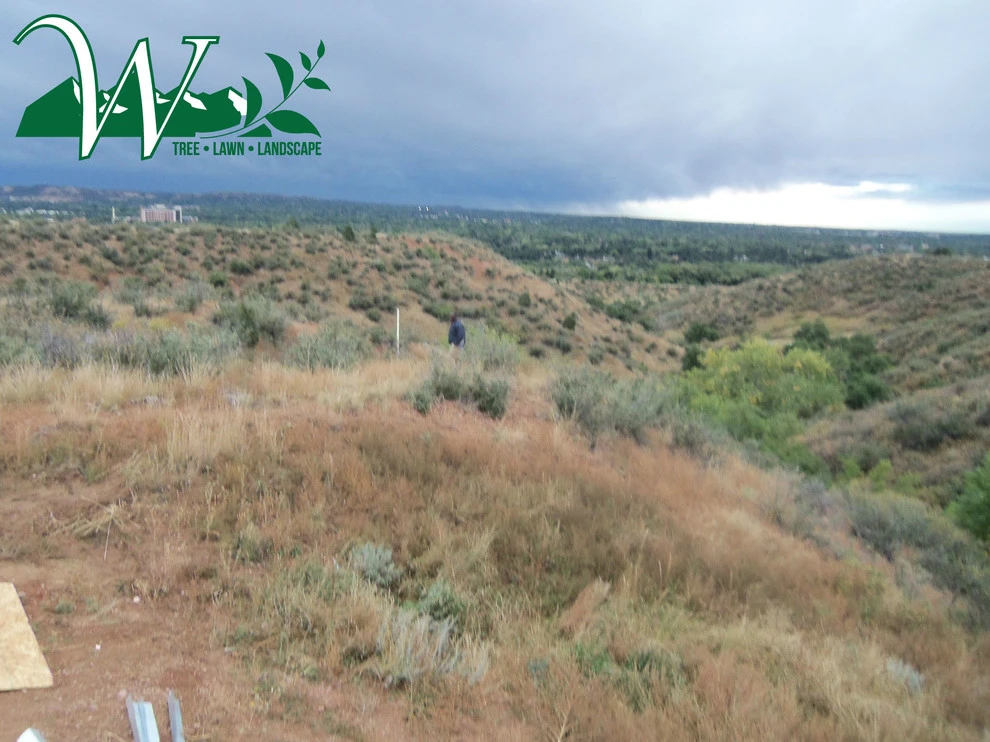 Total Landscape by Wright Tree, Lawn & Landscape Care - Photo 19