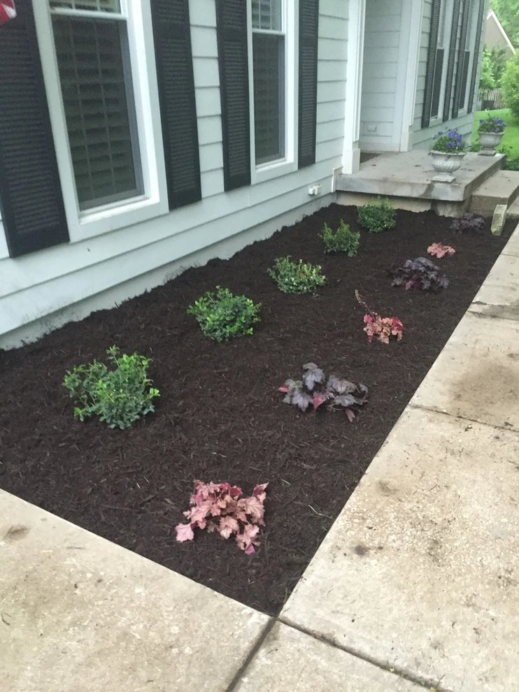 Young Leaf Landscaping - Photo 4