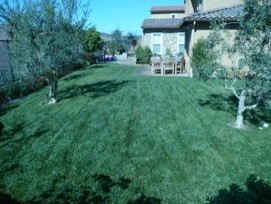 My Work by Dana Pacific Landscape - Photo 3