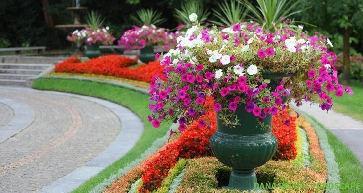 Landscaping raise your home's value by Dana Pacific Landscape - Photo 2