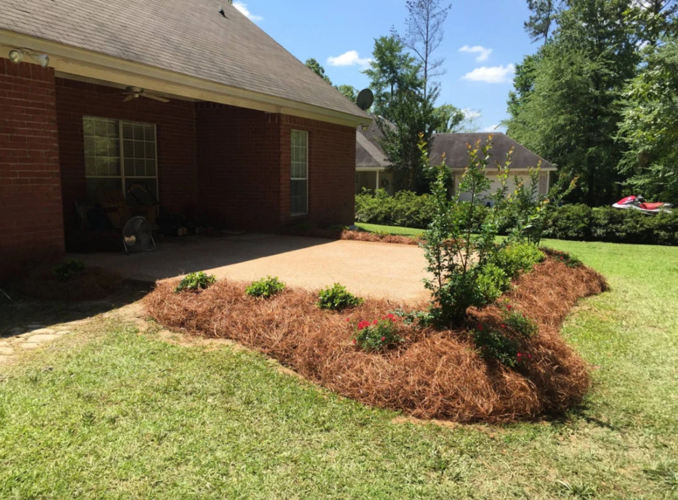 Whole 9 Yards Services - Photo 8