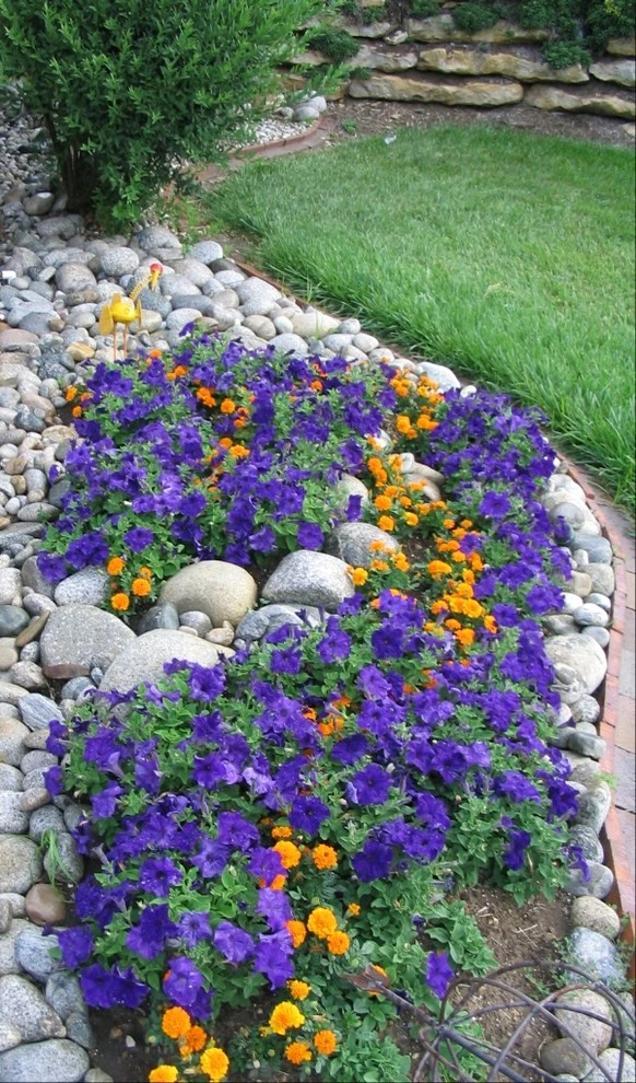 Annuals & Perennials by Willowridge Landscape Inc. - Photo 3