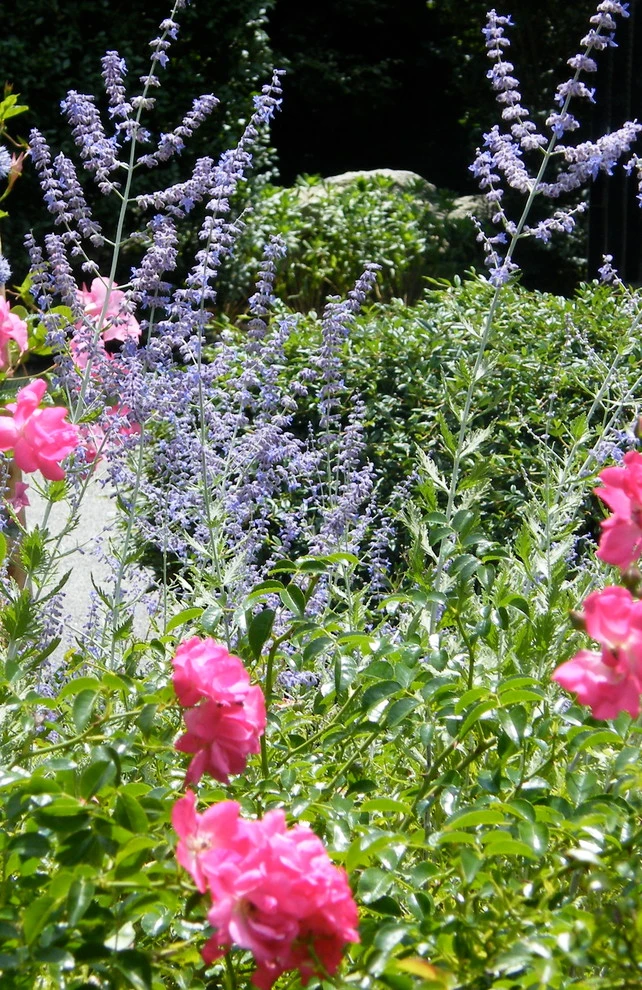 Angela Rose Gardens LLC - Photo 11