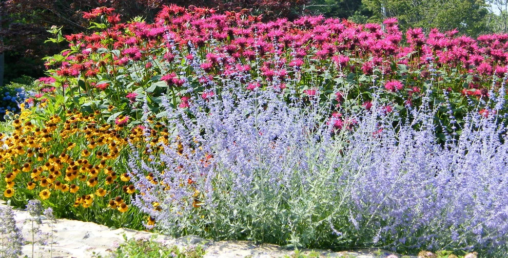 Angela Rose Gardens LLC - Photo 5