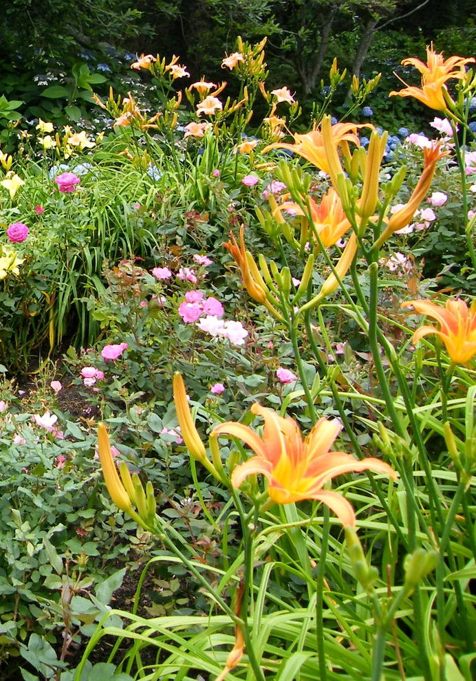 Angela Rose Gardens LLC - Photo 12