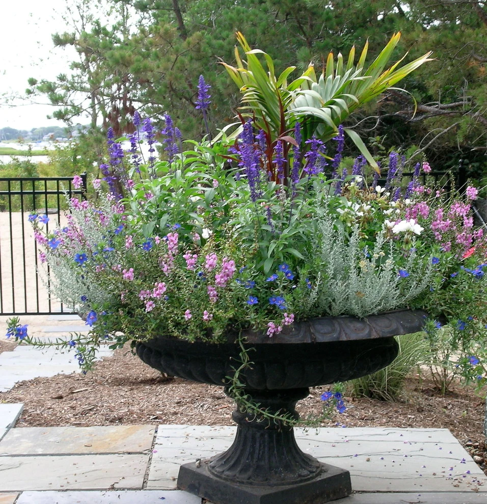 Container Gardens by Angela Rose Gardens LLC - Photo 11
