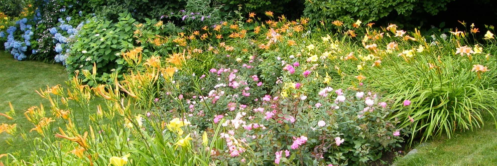 Perennial Gardens by Angela Rose Gardens LLC - Photo 6