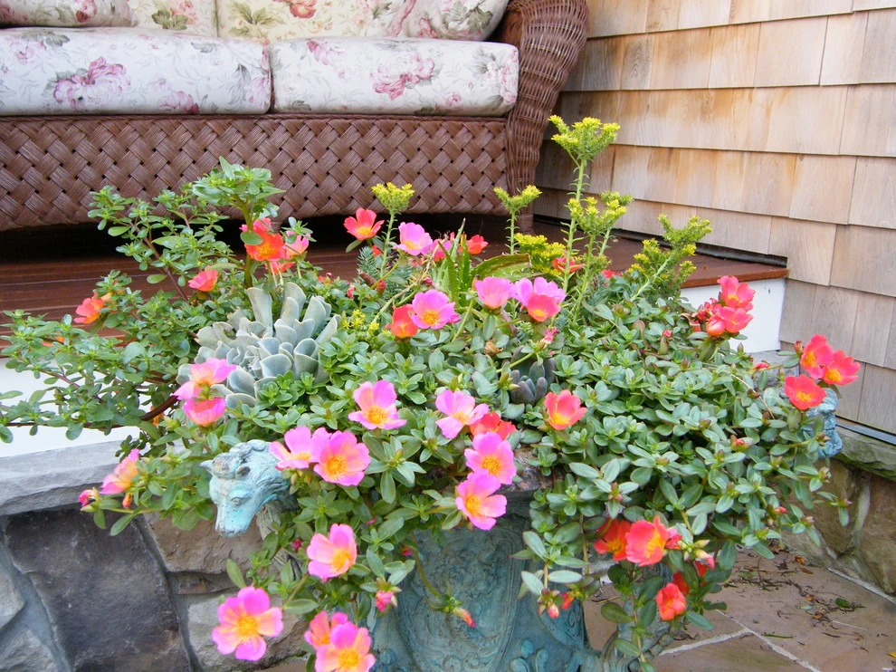 Container Gardens by Angela Rose Gardens LLC - Photo 6
