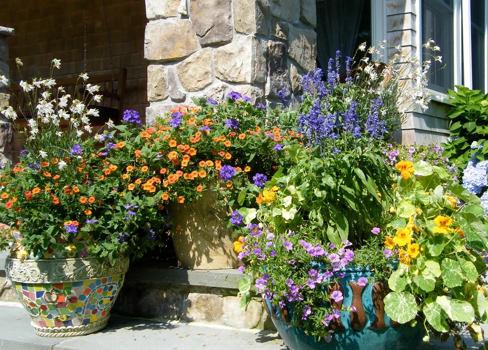 Container Gardens by Angela Rose Gardens LLC - Photo 10