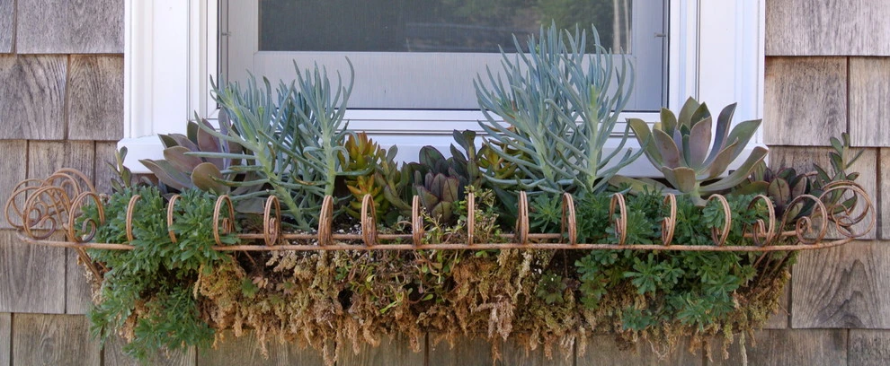 Container Gardens by Angela Rose Gardens LLC - Photo 3