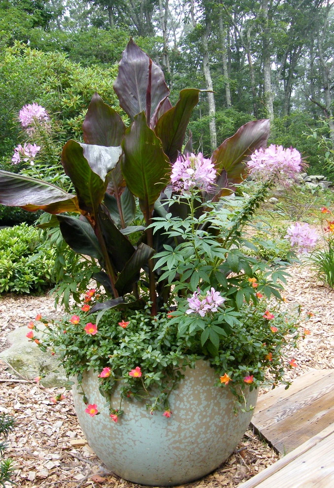 Container Gardens by Angela Rose Gardens LLC - Photo 9