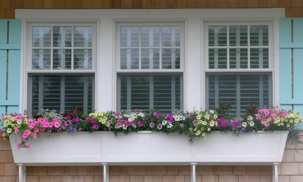 Container Gardens by Angela Rose Gardens LLC - Photo 12