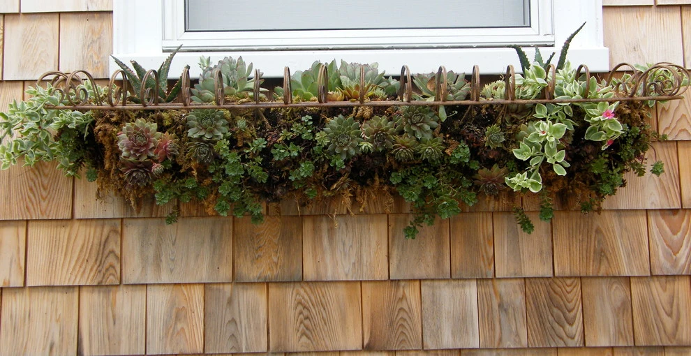 Angela Rose Gardens LLC - Photo 4