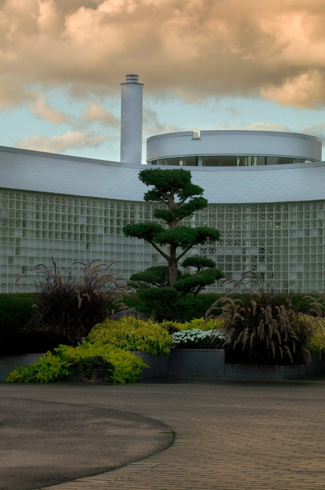 Modern Asian Influenced Garden by Daryl Toby - AguaFina Gardens International - Photo 2