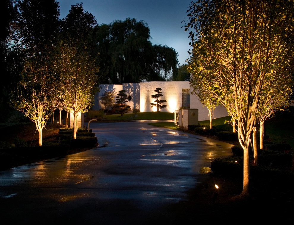 Modern Asian Influenced Garden by Daryl Toby - AguaFina Gardens International - Photo 9