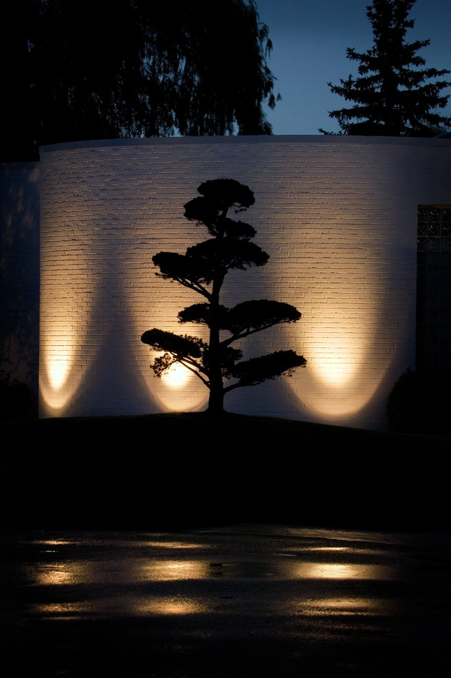 Modern Asian Influenced Garden by Daryl Toby - AguaFina Gardens International - Photo 4