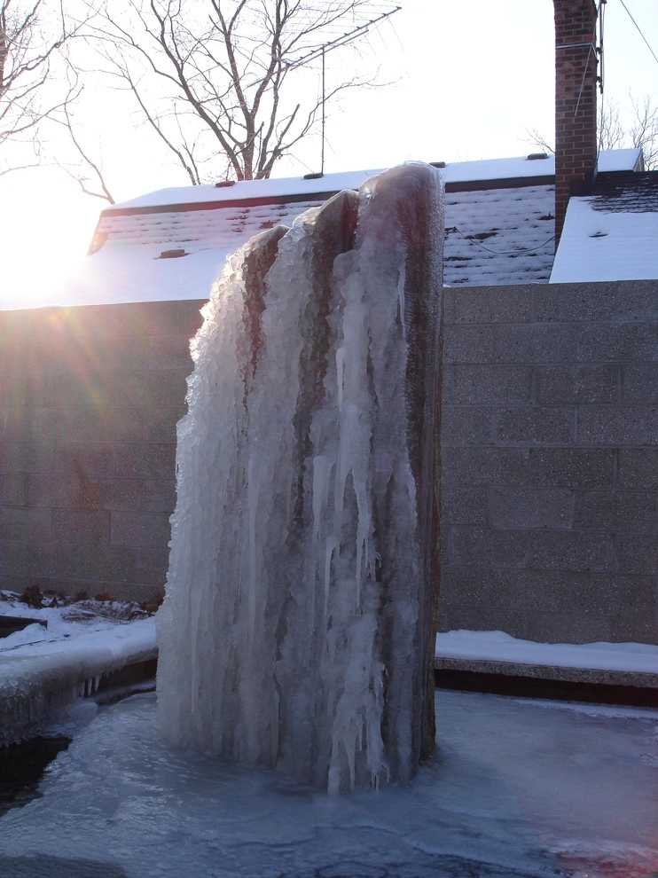 Winter Images by Daryl Toby - AguaFina Gardens International - Photo 2