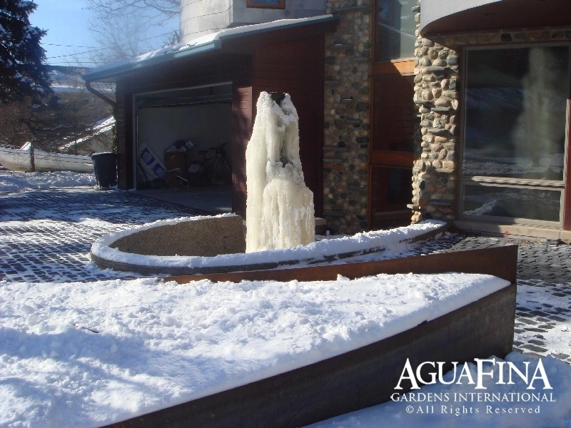 Winter Images by Daryl Toby - AguaFina Gardens International - Photo 7