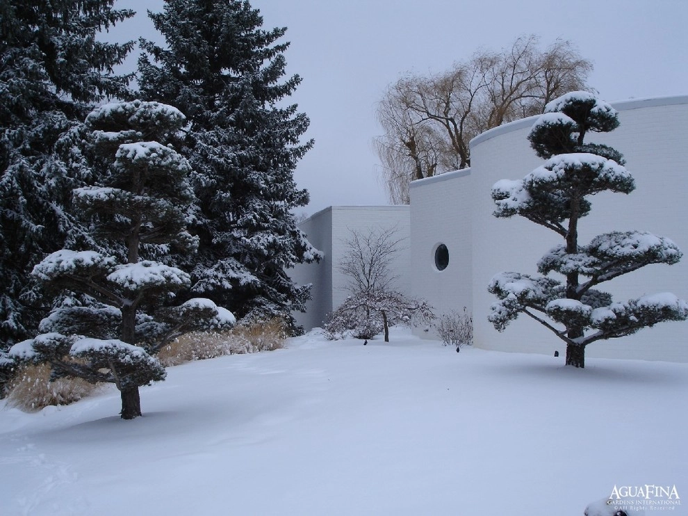 Winter Images by Daryl Toby - AguaFina Gardens International - Photo 6