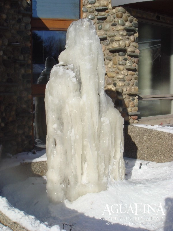 Winter Images by Daryl Toby - AguaFina Gardens International - Photo 4
