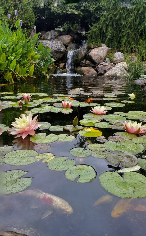 AguaFina's Studio by Daryl Toby - AguaFina Gardens International - Photo 11