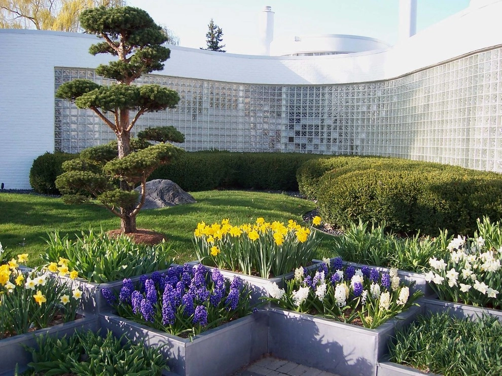 Daryl Toby - AguaFina Gardens International - Photo 2