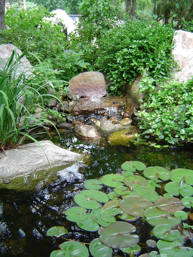 Water Features Various Projects by Daryl Toby - AguaFina Gardens International - Photo 4