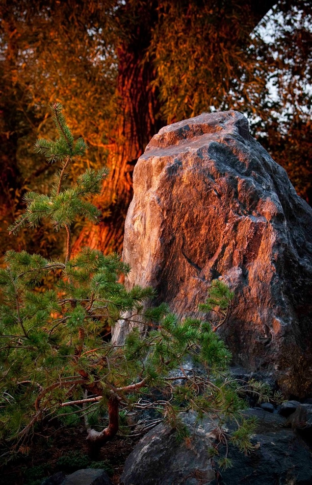 Stone, Steel & Sculpture by Daryl Toby - AguaFina Gardens International - Photo 17