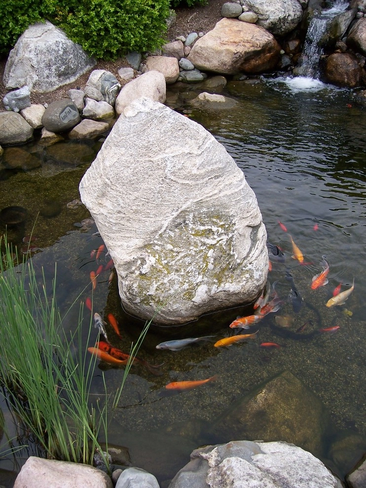 AguaFina's Studio by Daryl Toby - AguaFina Gardens International - Photo 10
