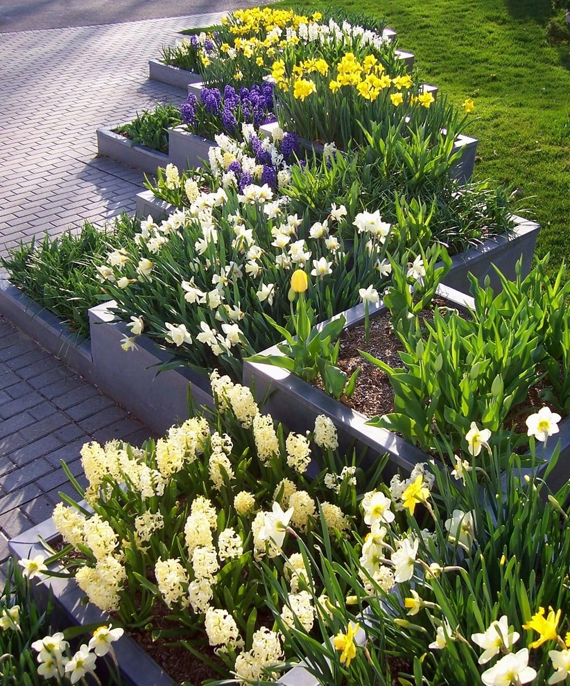 Modern Planter Boxes by Daryl Toby - AguaFina Gardens International - Photo 3