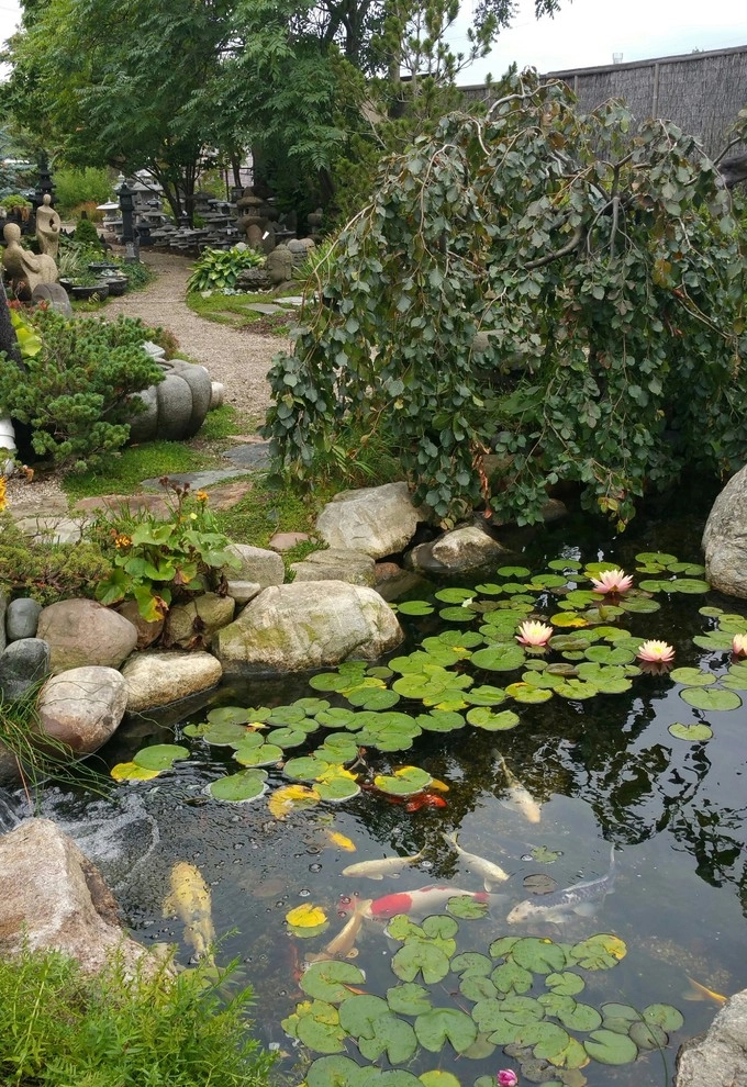 AguaFina's Studio by Daryl Toby - AguaFina Gardens International - Photo 8