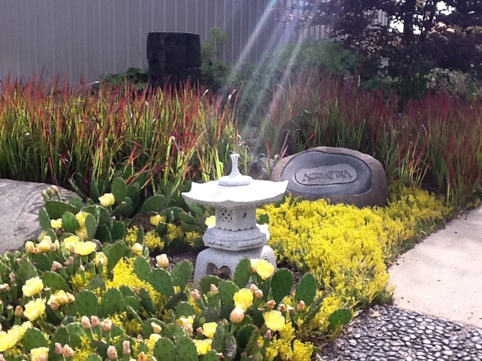 AguaFina's Studio by Daryl Toby - AguaFina Gardens International - Photo 12