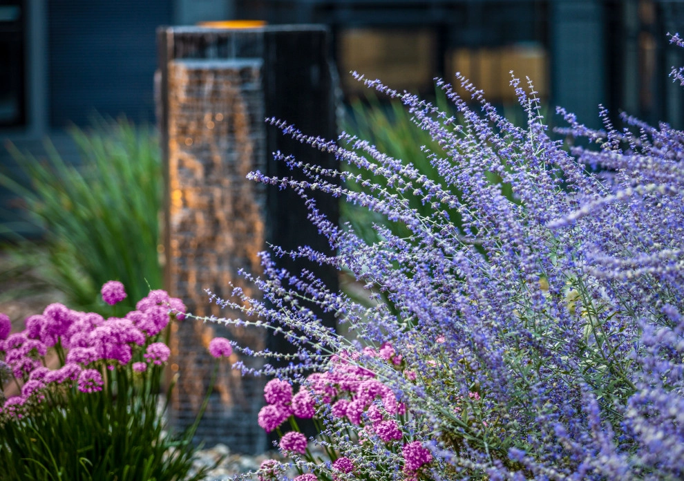 Rooftop Sculpture Garden by Daryl Toby - AguaFina Gardens International - Photo 9