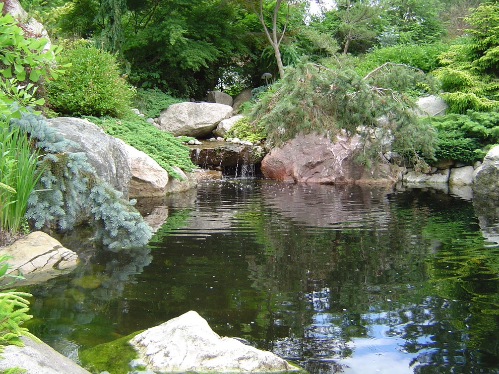 Water Features Various Projects by Daryl Toby - AguaFina Gardens International - Photo 14