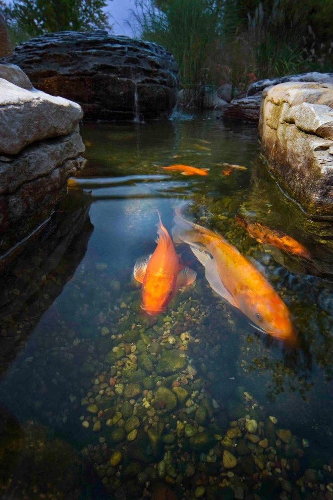 Water Features Various Projects by Daryl Toby - AguaFina Gardens International - Photo 9